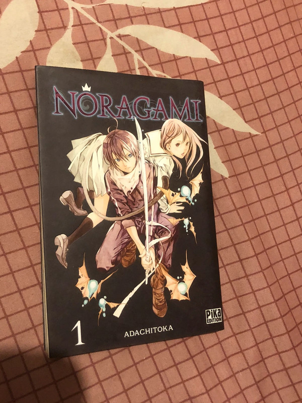 Tome 1 Noragami