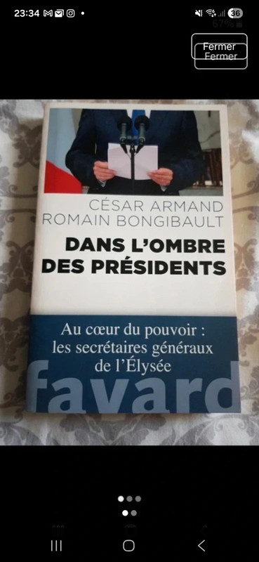 Dans l'ombre des présidents