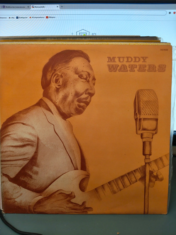 Muddy Waters