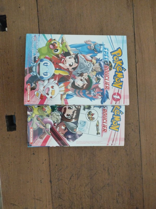 Pokémon Épée et Bouclier