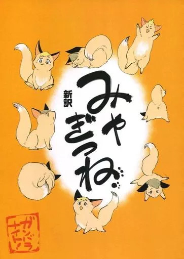 Haikyuu!! Doujinshi Miyagitsune BL Donna A5 54p Usato [Età 13%+]