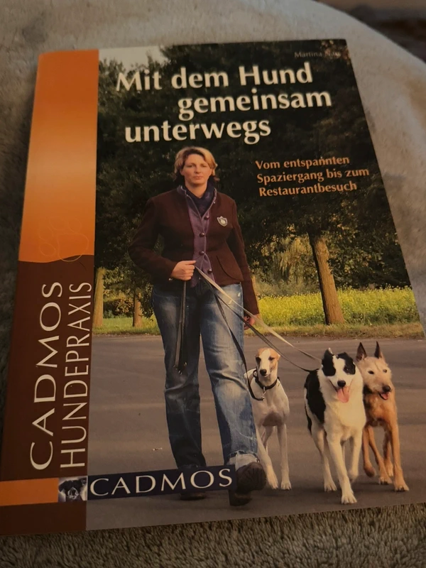Mit dem Hund gemeinsam unterwegs