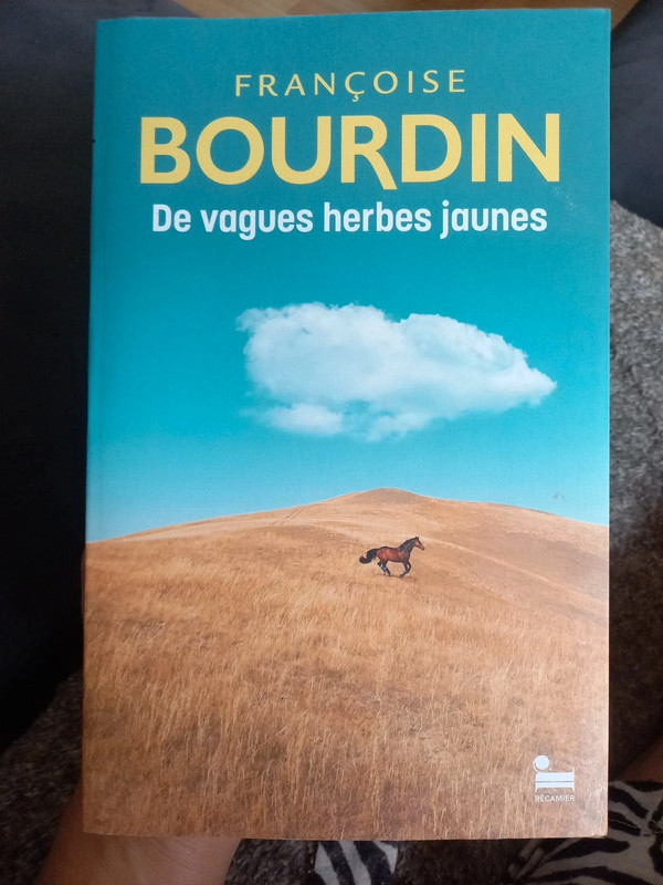 Françoise Bourdin de vagues herbes jaunes