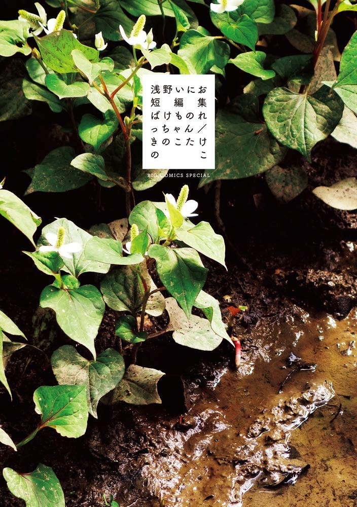 Shogakukan Service Inio Asano Short Story Collection: Monster Recchan / Mushroom