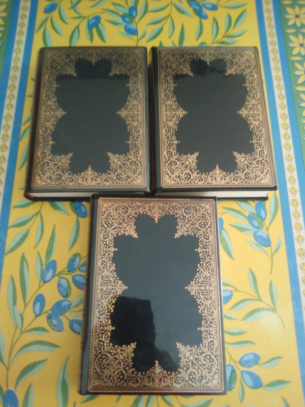 Lot de 3 livres ancien collection de Dostoïevsky