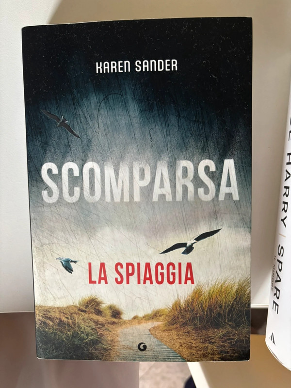 Scomparsa la spiaggia karen sander