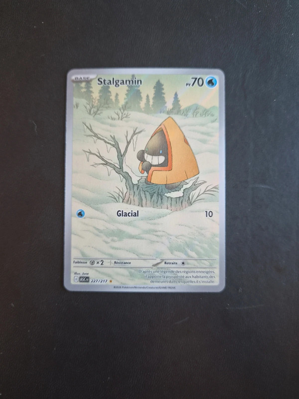 Pokémon Stalgamin 227/217