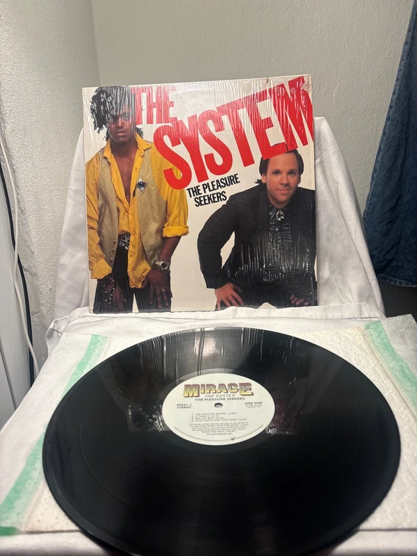 The System  The pleasure  Seekers