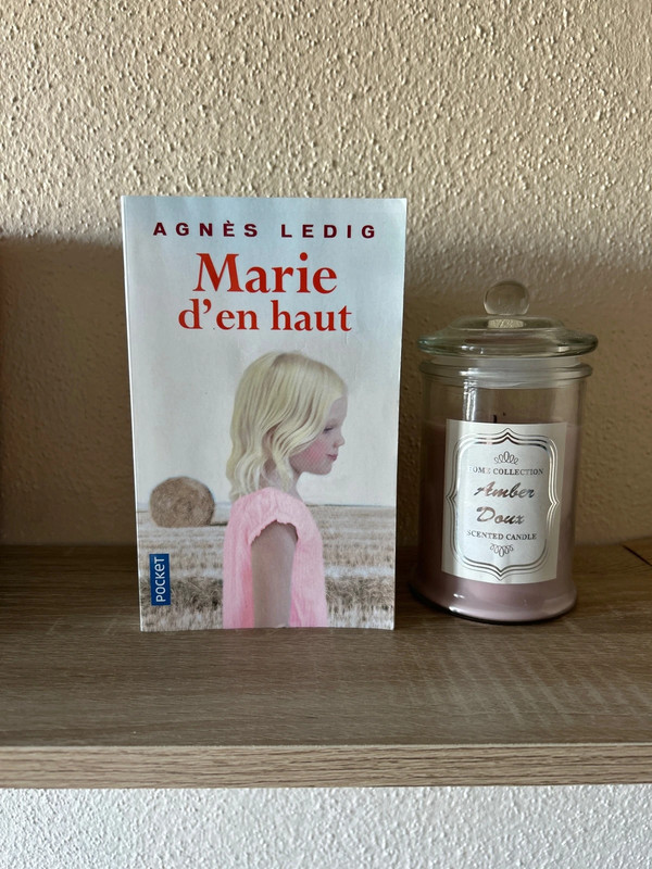 Lot de trois livres