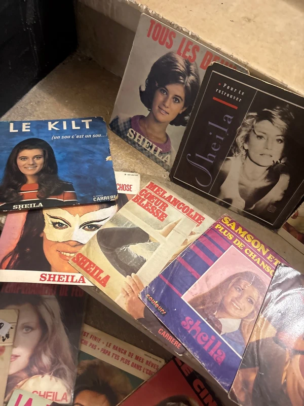 Lot de 20 vinyles Sheila