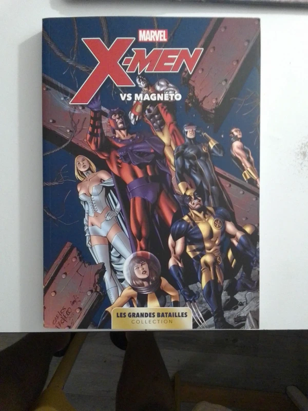 X-Men vs Magneto