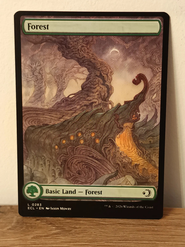 Magic The Gathering –  Terrain full art Lorwin – NM / Near Mint