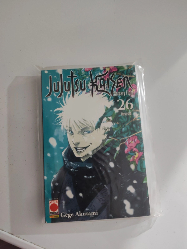 Jujutsu 26