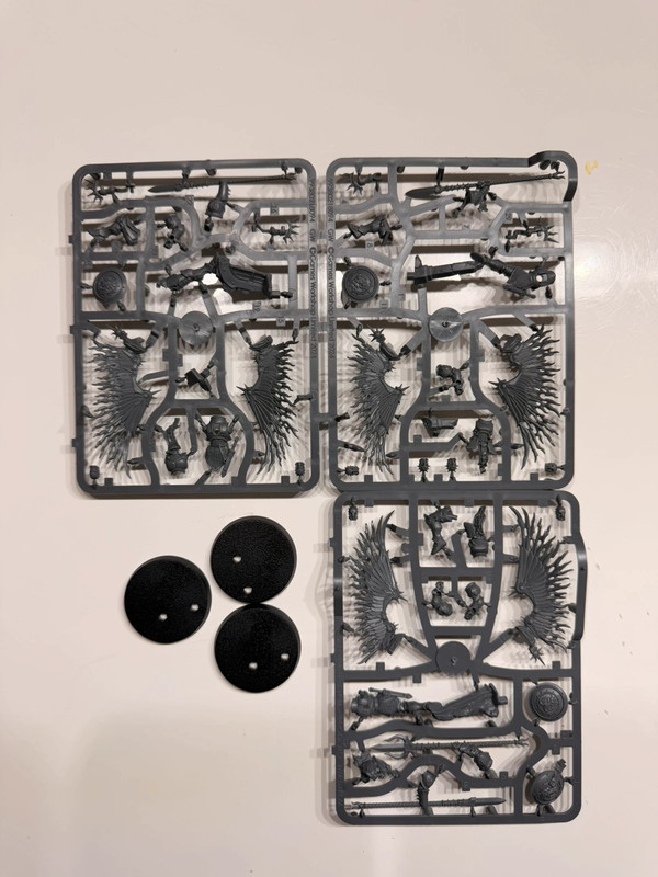 Prosecutors Stormcast Eternals Skaventide Warhammer Age of Sigmar