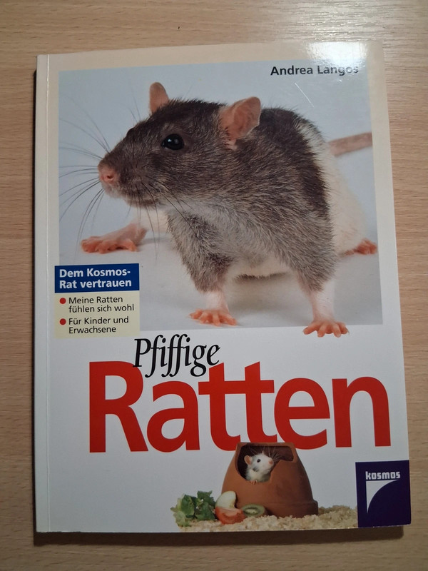 Ratten Haustier Ratgeber "pfiffige Ratten"
