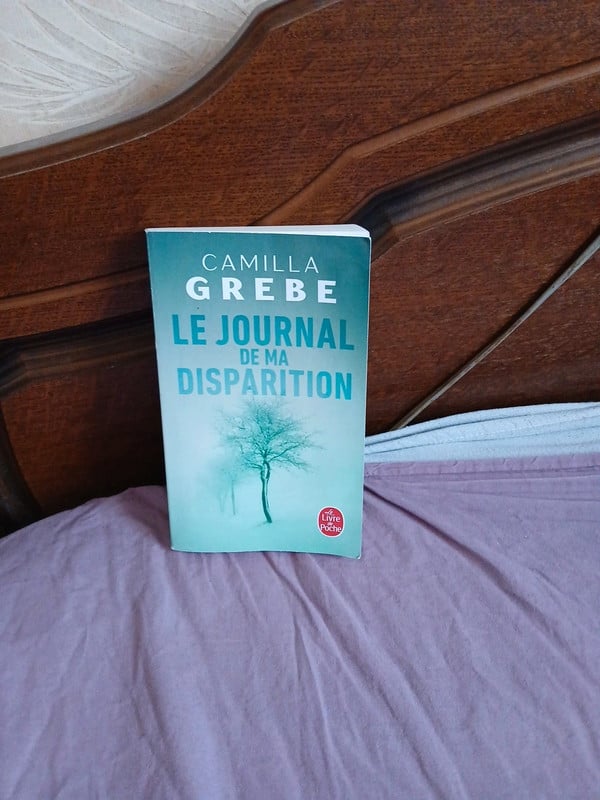 Le journal de ma disparition