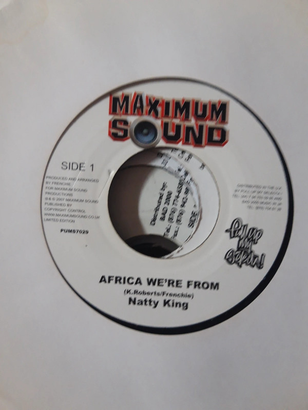 Lot de 11 disques Reggae NEwRoots Dancehall sur le label Maximum Sounds Ex