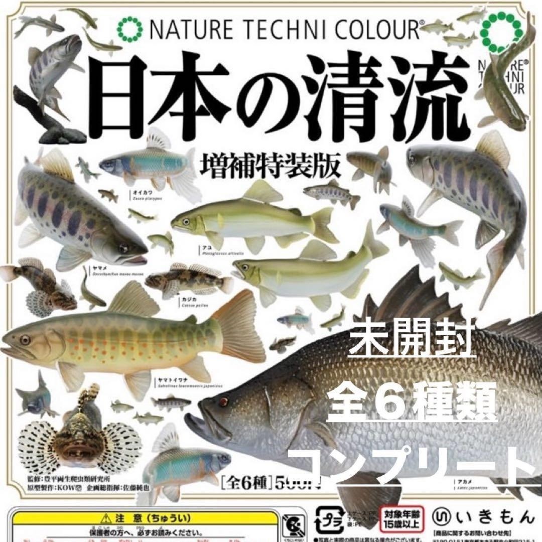 Nihon no Seiryuu Giapponese Edizione Speciale Migliorata Set Completo 6 Minilibri Pesci