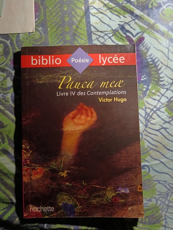 Pauca Mae - Victor Hugo