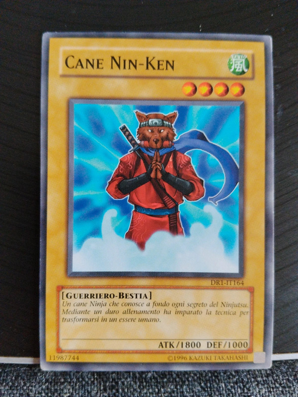 Cane nin ken - Dr1