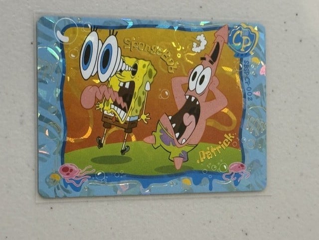 Lotto 5 carte Viacom SpongeBob SquarePants 2024 - quasi nuove