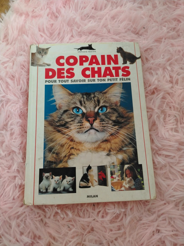 Encyclopedi chats