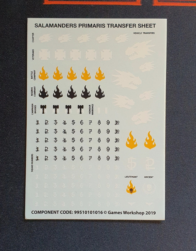 Salamanders transfer sheet