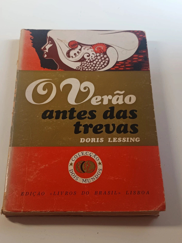 O verão antes das trevas