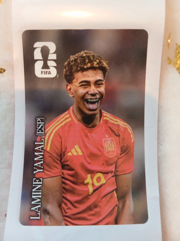 Autocollant panini coupe du Monde 2026