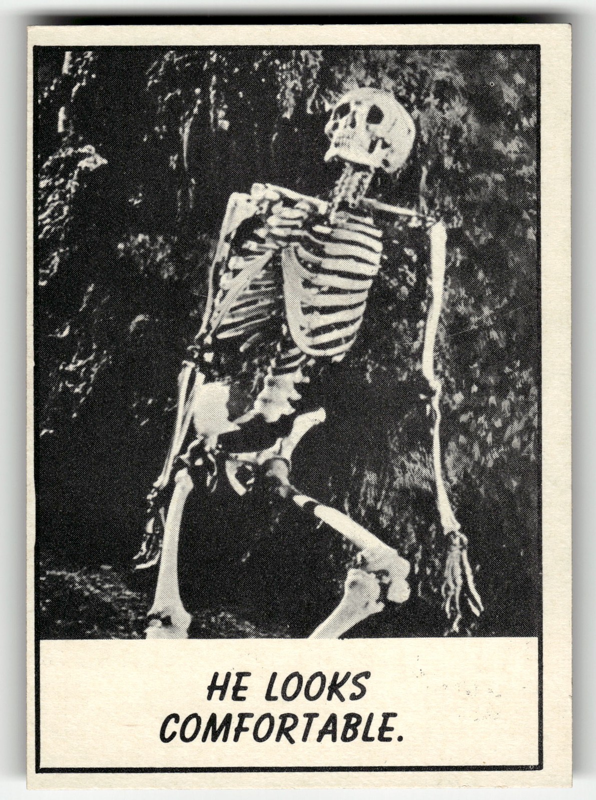 1966 Topps Monster Laffs sembra comodo #60 ALTA QUALITÀ