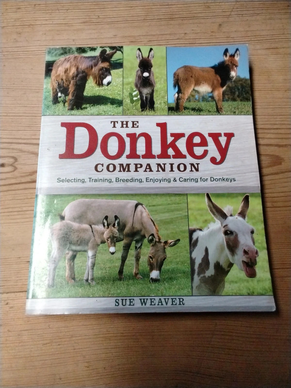 The donkey companion, sue weaver