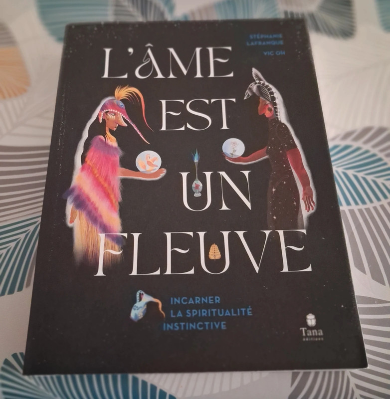 Vends Livre L'âme est un fleuve de Stéphanie Lafranque comme neuf