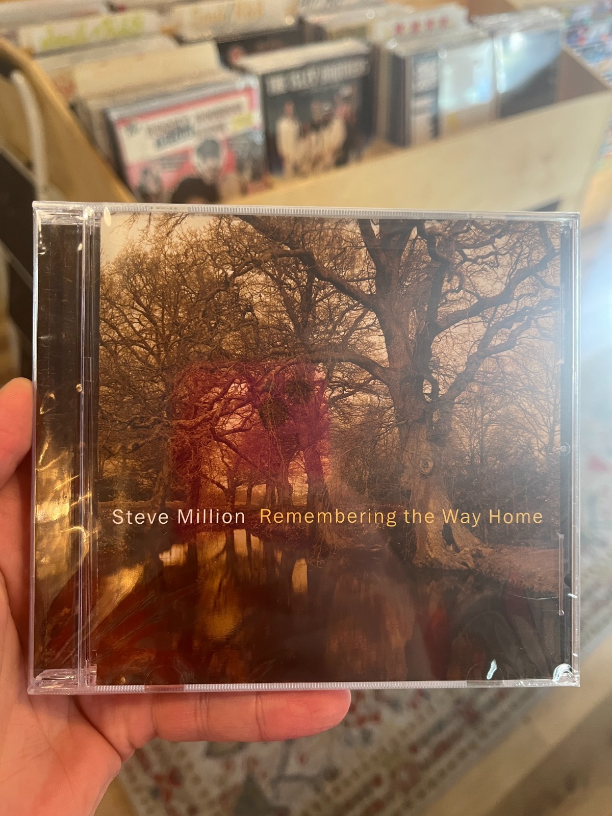 STEVE MILLION - Remembering the Way Home CD 2008 NEW/SEALED!