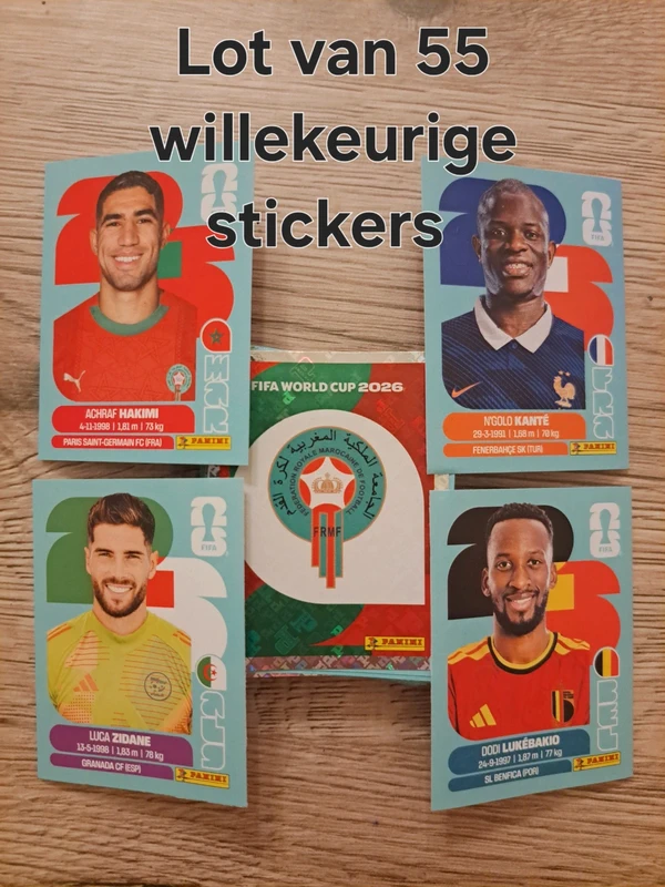Lot van 55 willekeurige stickers