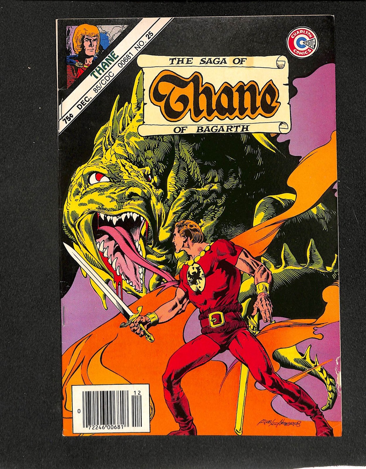 Thane Of Bagarth #25 Edicola prima stampa Charlton 1985