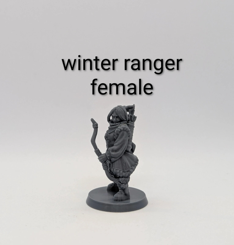 Miniatura Dungeons and dragons DnD Winter ranger Female