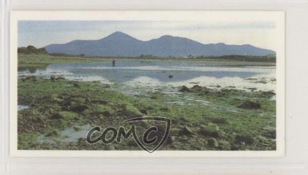 1989 Brooke Bond Discovering Our Coast Tea Murlough Riserva Naturale #49 h3a