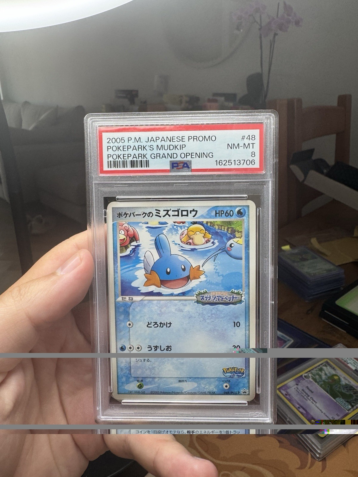 Pokemon PokePark Mudkip Promo Card 048/Pcg-p Japanese Edition PSA 8