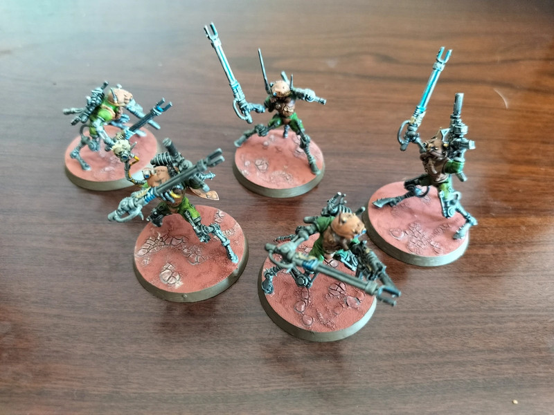 Sicarian infiltrators