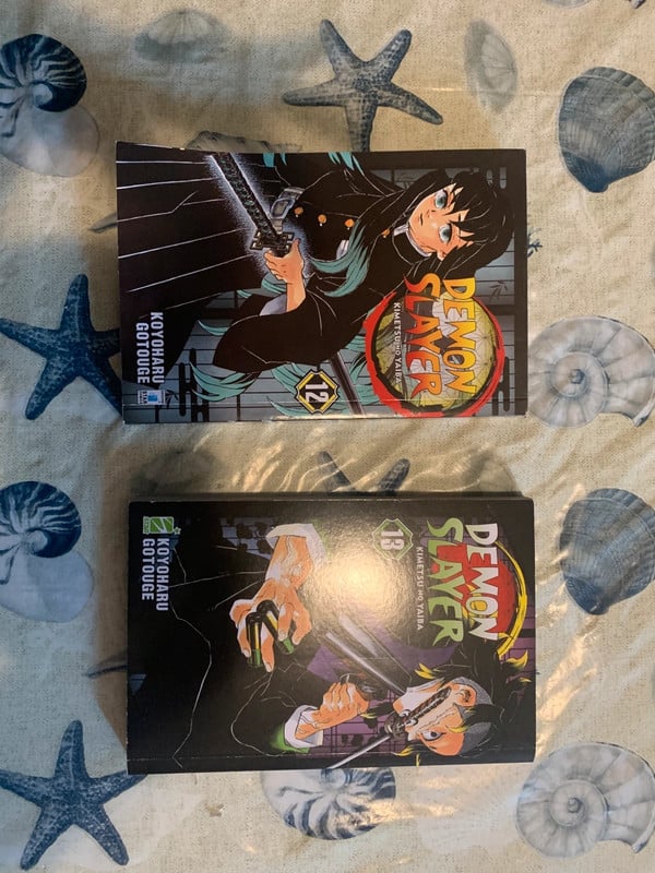 Demon slayer vol 12-13