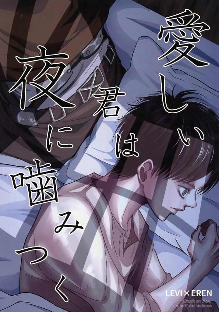Kanata Attack on Titan Levi x Eren Doujinshi BL Donna 104p [Età 13+]