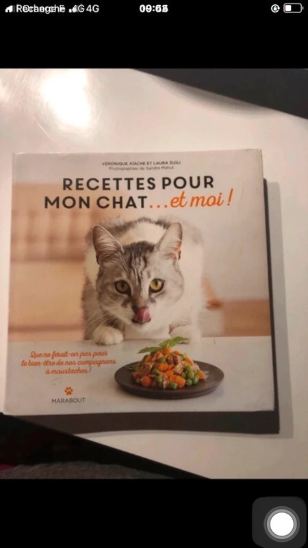Recettes pour mon chat et moi