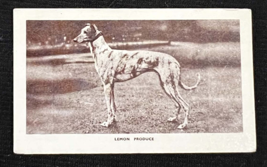 LEMON PRODUCE 1939 Forecasta B Morris Racing Greyhounds #17 UK Tobacco Vintage