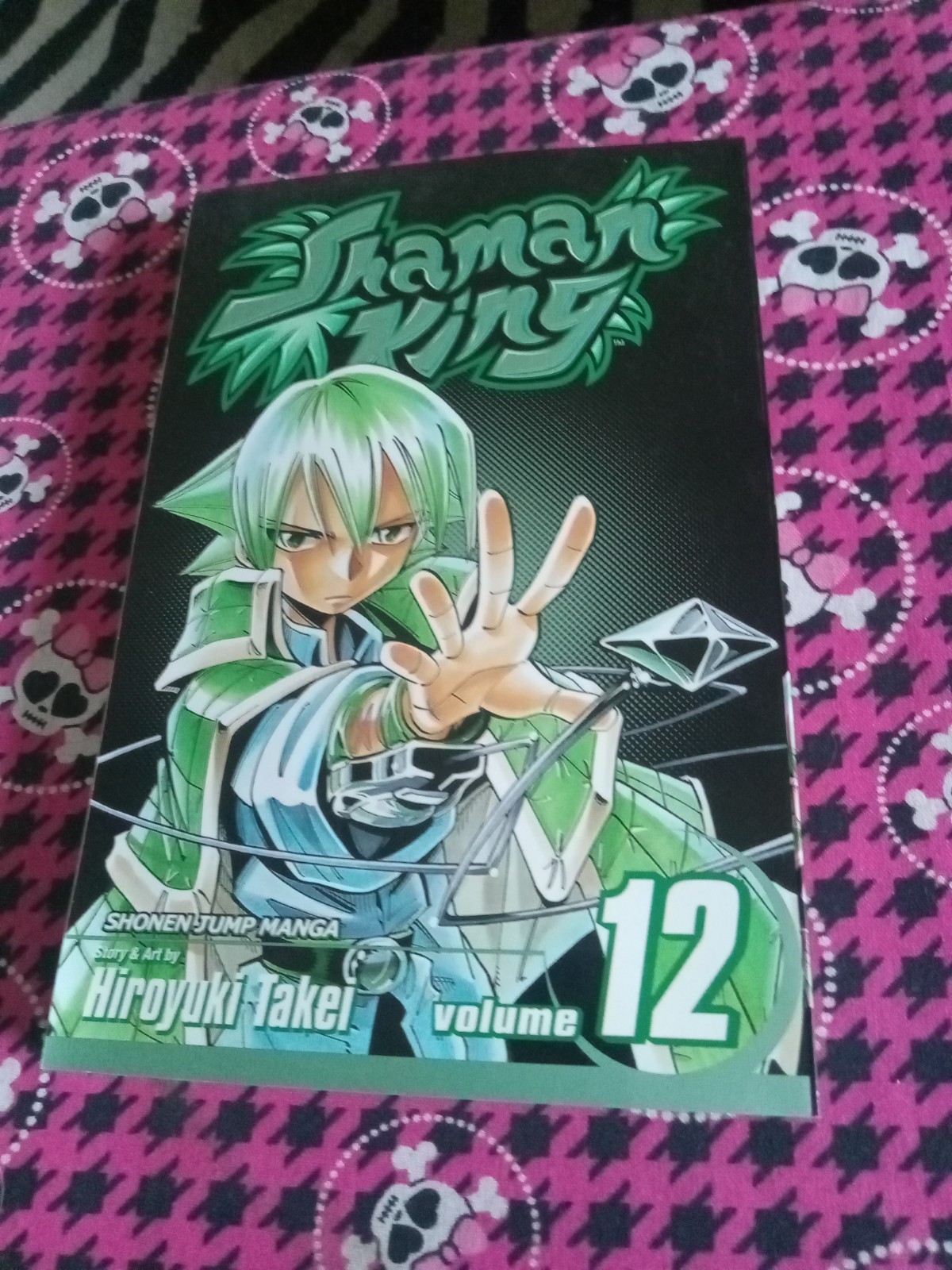 Shaman King Manga Volume 12