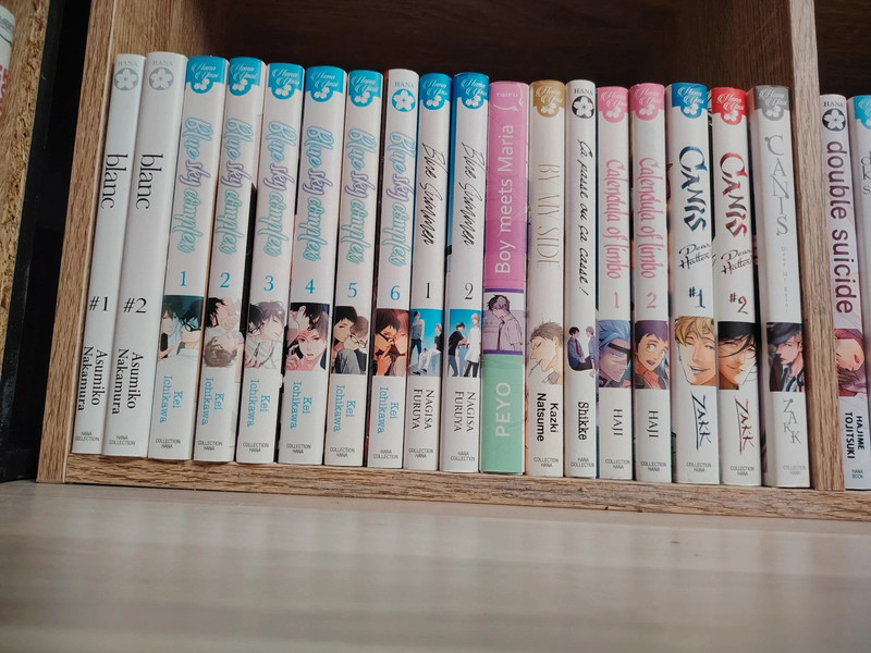 Lot ou Séparé - Mangas Boy's Love / Yaoi (Hana) - Très bon état