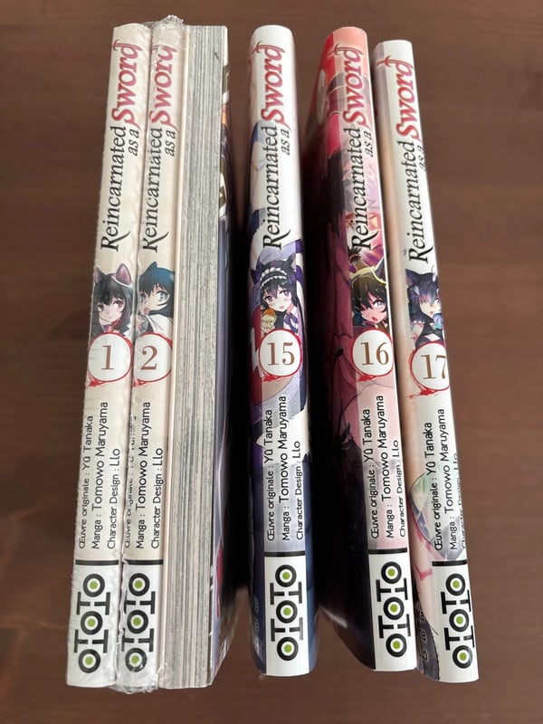 Reincarnated as a sword (début et fin collection )