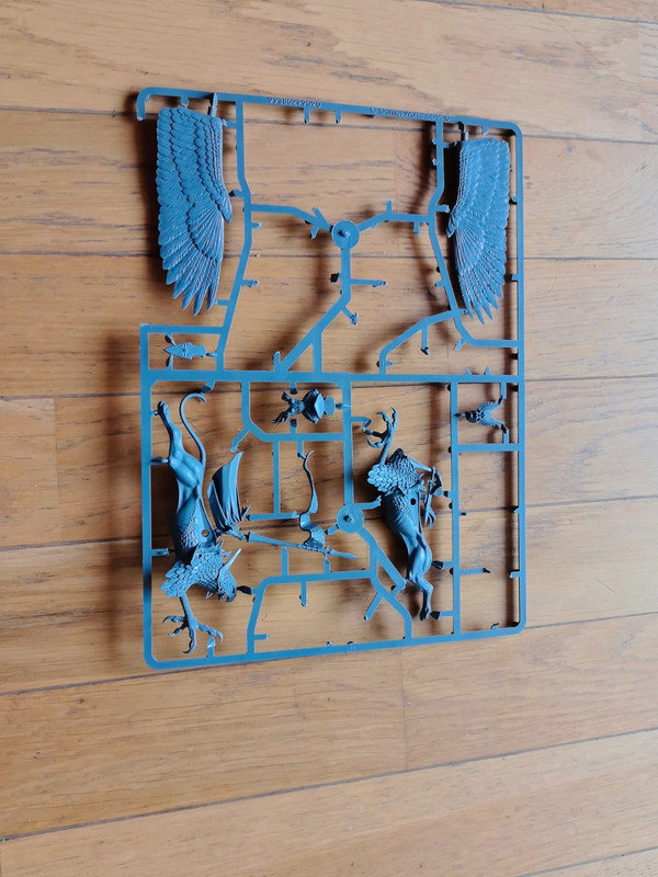 High Elf Warhammer TOW-Battles Griffon