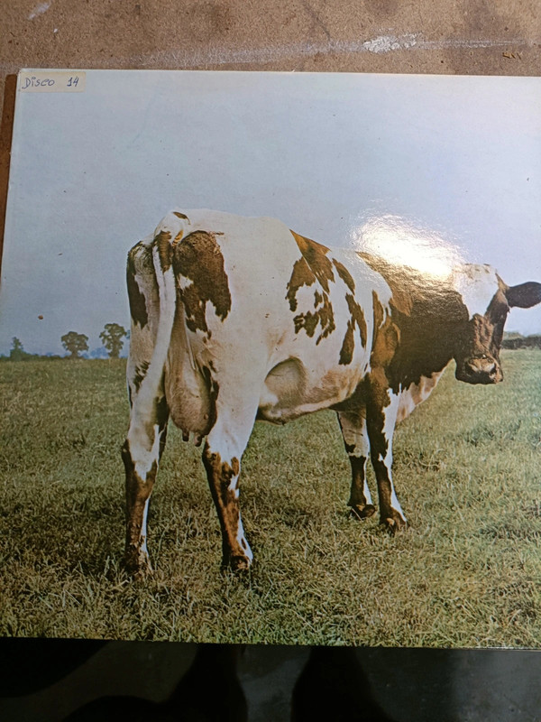 LP Pink Floyd