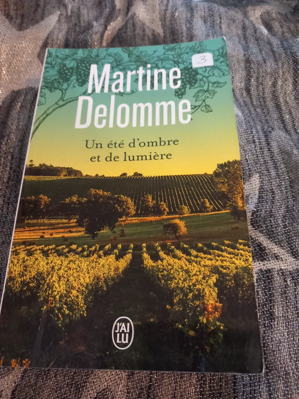 Un été d'ombre et de lumière   - Martine delomme