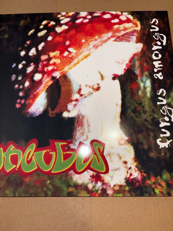 Vinile Incubus